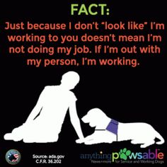 Graphic explaining that when a service dog is out with their person, they're always working 